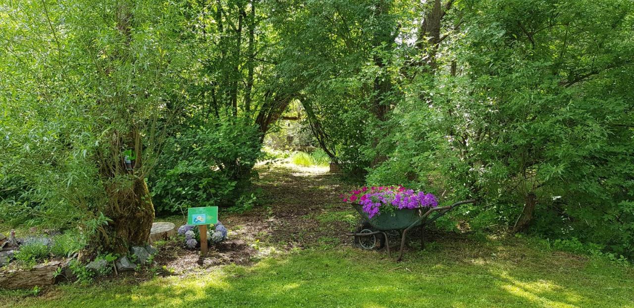 Naturferienhaus Luppbodemuhle Allrode Exteriér fotografie