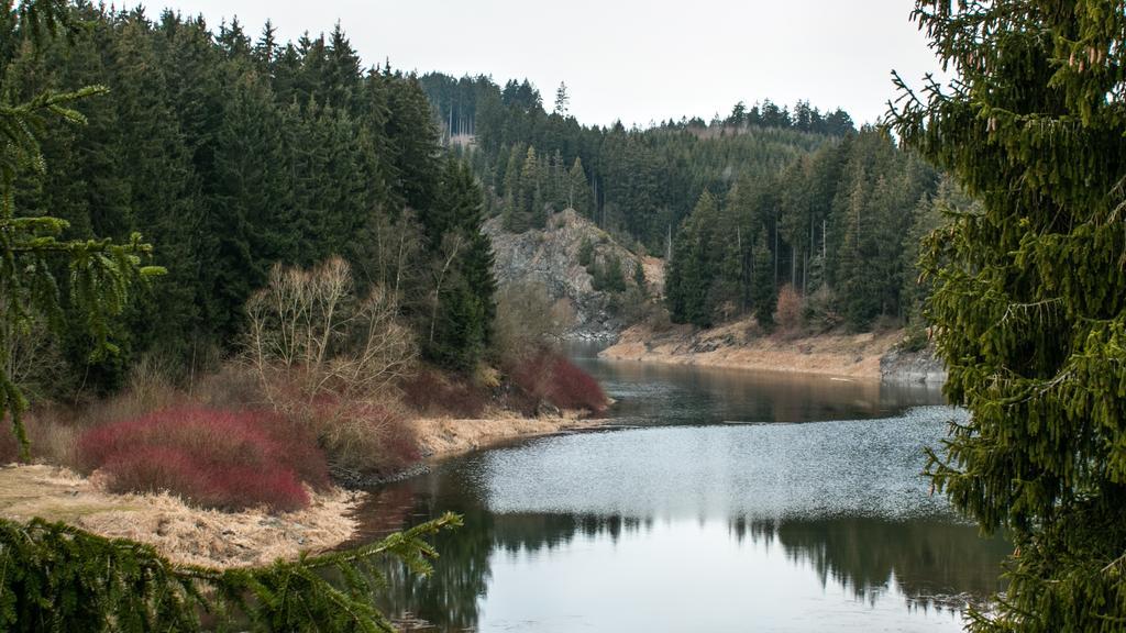 Naturferienhaus Luppbodemuhle Allrode Exteriér fotografie