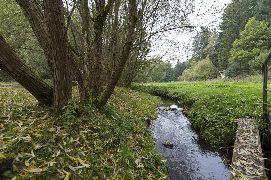 Naturferienhaus Luppbodemuhle Allrode Exteriér fotografie