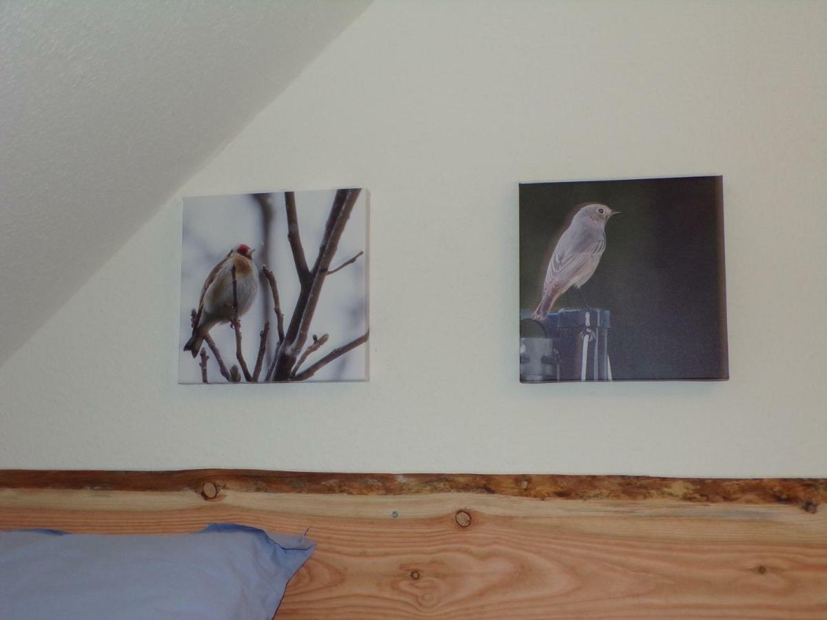 Naturferienhaus Luppbodemuhle Allrode Exteriér fotografie